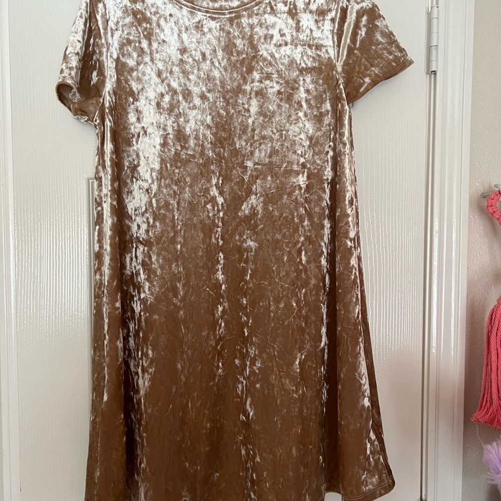 Forever 21 Shimmering Tan Velvet Kids Dress